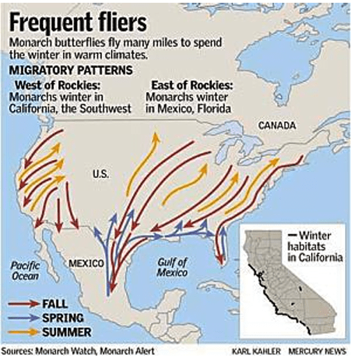 Map showing frequent flyer patterns in the U.S. by region and season.