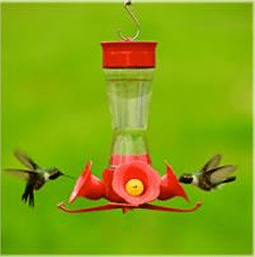 Two hummingbirds feeding from a red nectar feeder against a green background.