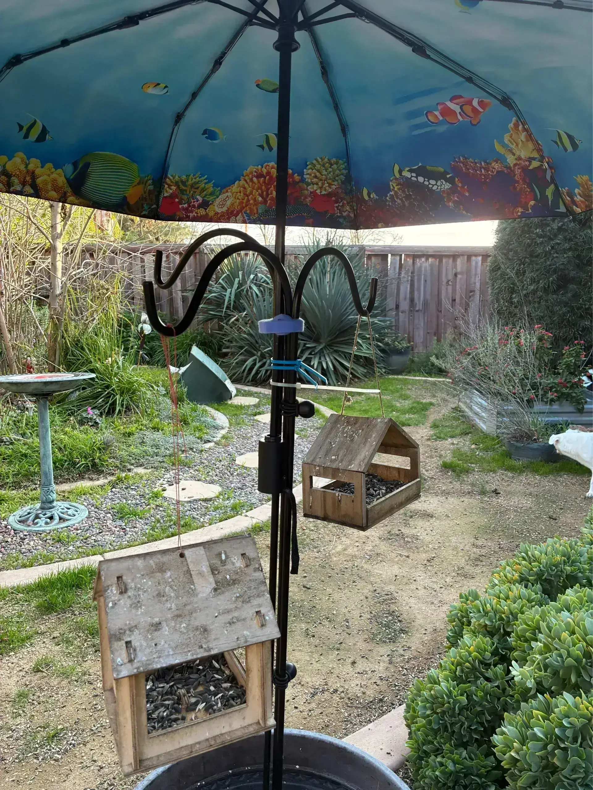 Two wooden bird feeders under colorful umbrella